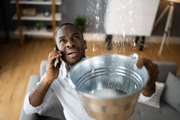 Best Basement water damage restoration  in Crawfordsville, IN