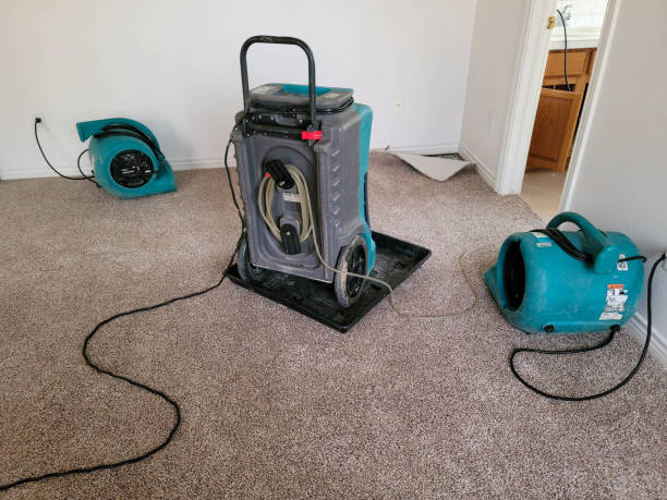 Best Water damage restoration near me  in Crawfordsville, IN