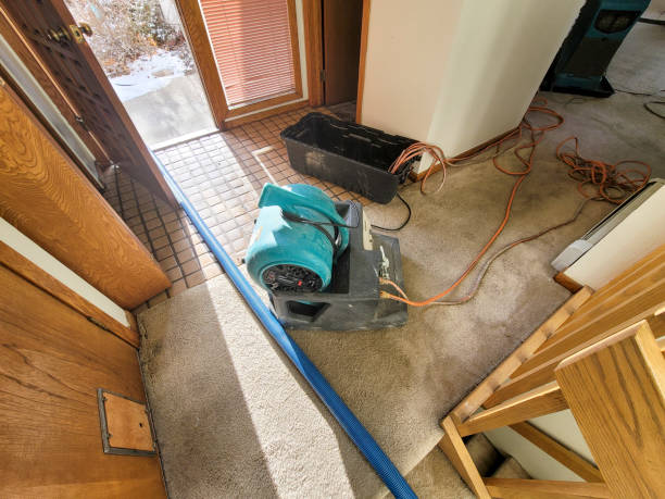 Best Flood damage cleanup  in Crawfordsville, IN