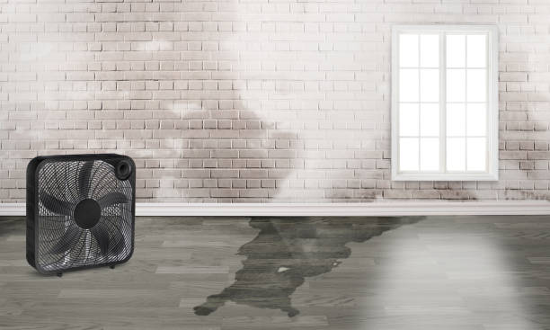 Reliable Crawfordsville, IN Water damage restoration Solutions