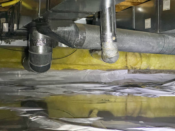 Best Water damage contractors near me  in Crawfordsville, IN