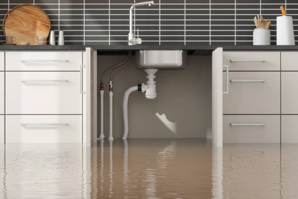 Best Water damage cleanup near me  in Crawfordsville, IN