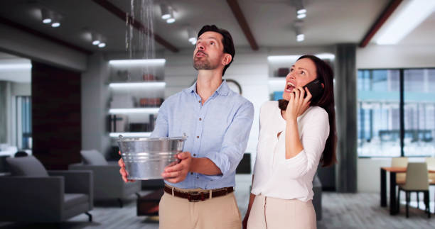Best Carpet water damage restoration  in Crawfordsville, IN