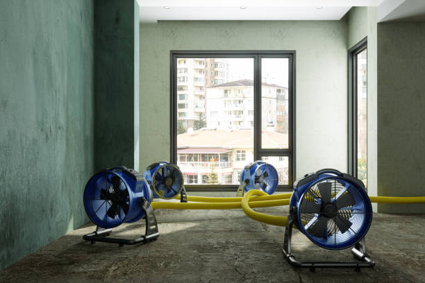 Best Emergency water damage restoration  in Crawfordsville, IN